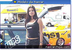 Modelo da NPC Performance